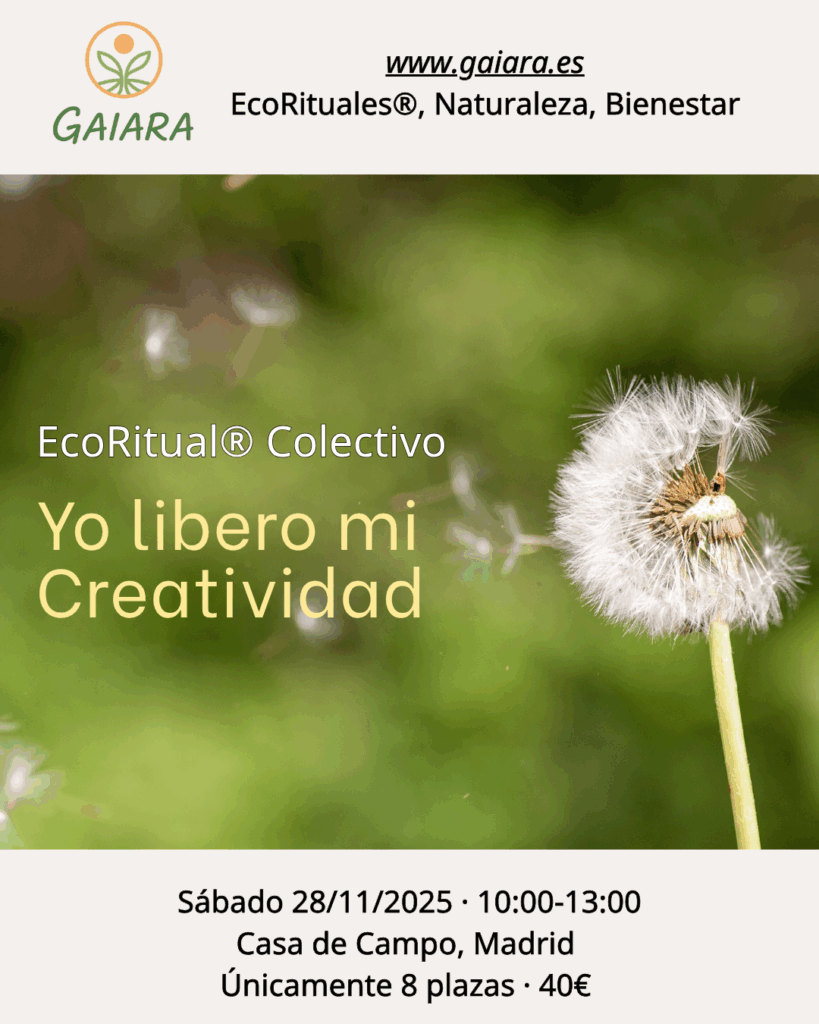 Inicio Fructificación de diente de león