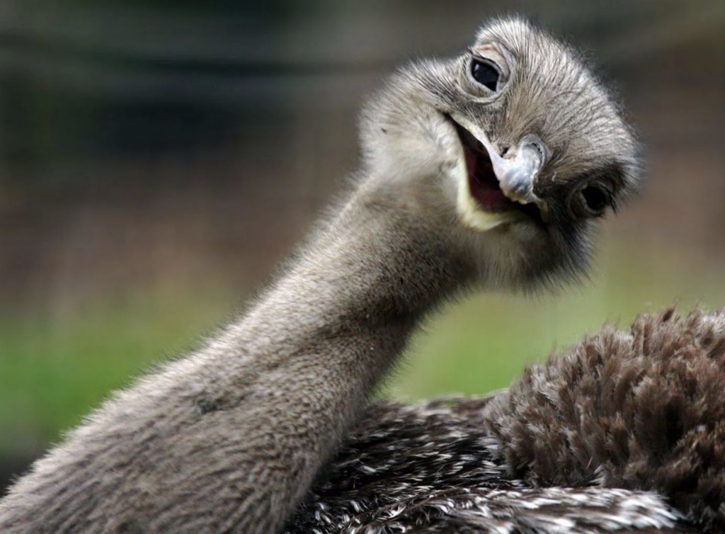 captura de pantalla 2025 02 03 a las 15.27.32